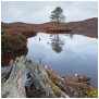 slides/Bog Oak Loch.jpg bog oak, loch,scotland,water,sky,calm,flat,log,reflection Bog Oak Loch